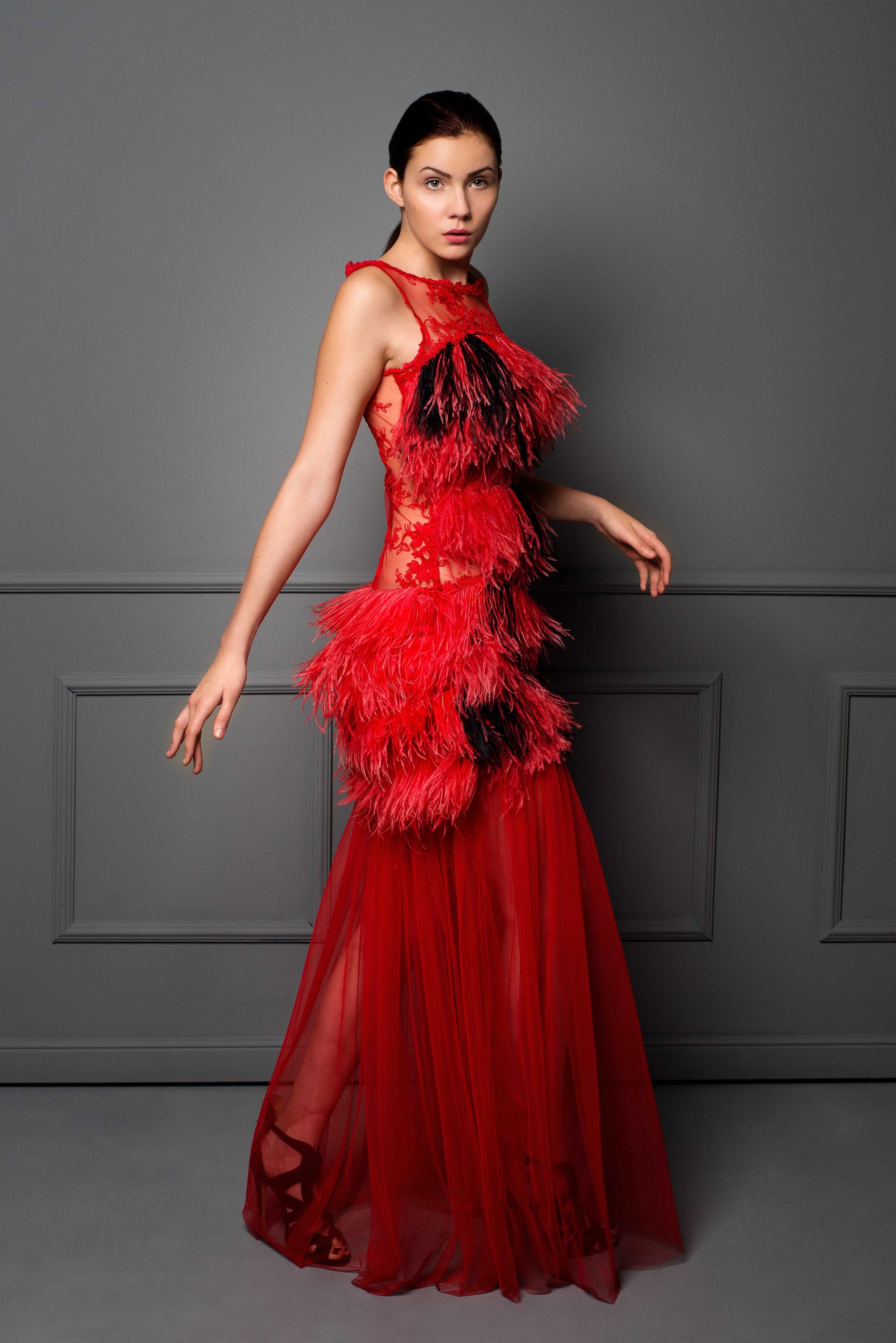 Red Tulle Dress