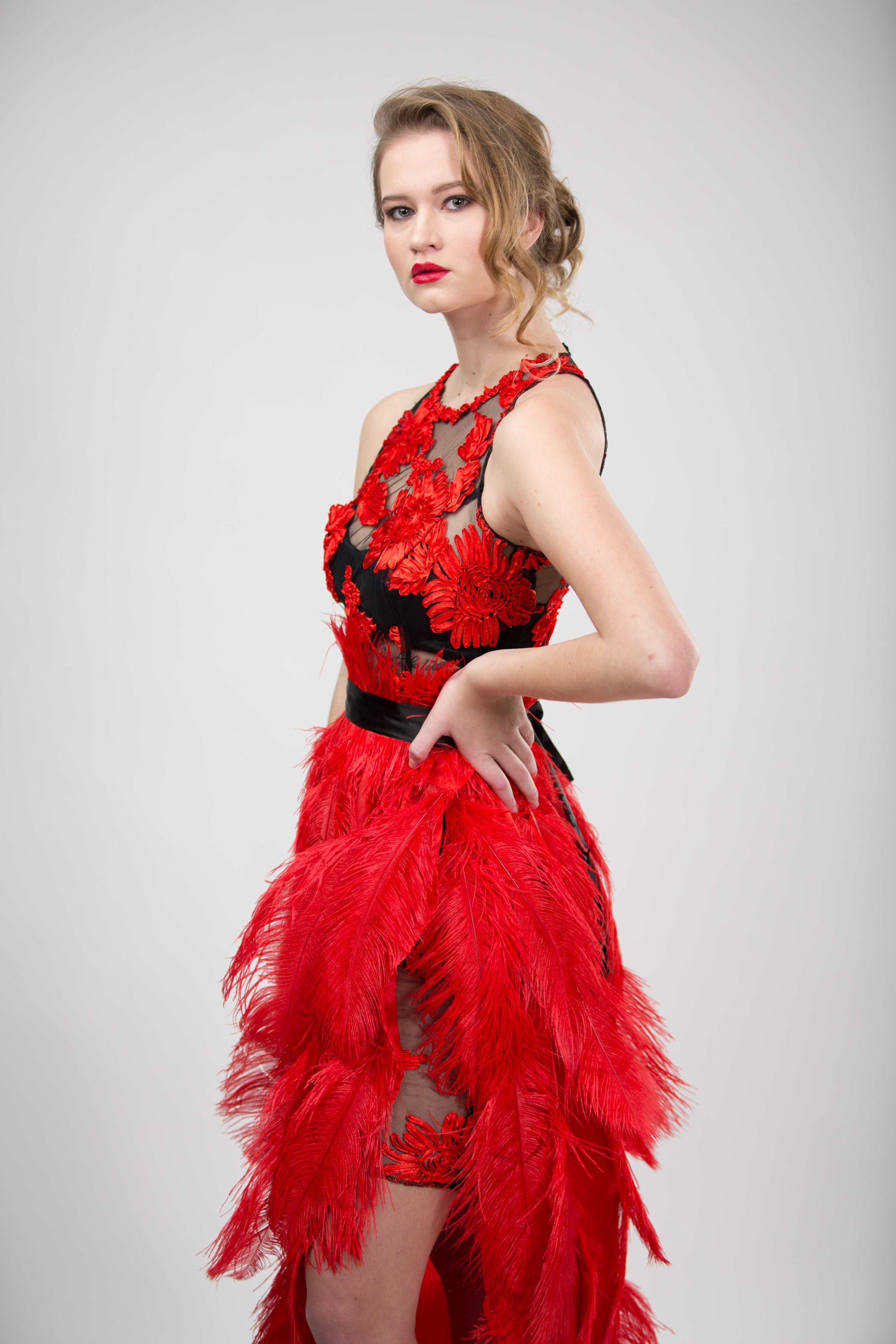 Red Feather Dress